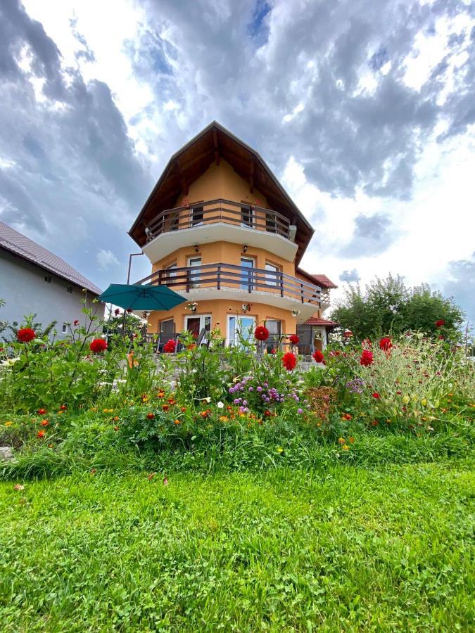 Tamara House Hotel Bran  Esterno foto