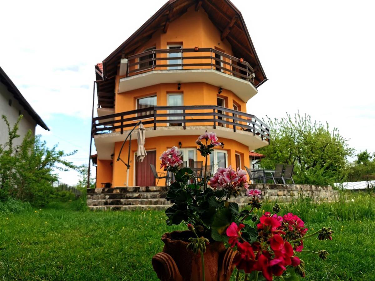 Tamara House Hotel Bran  Esterno foto