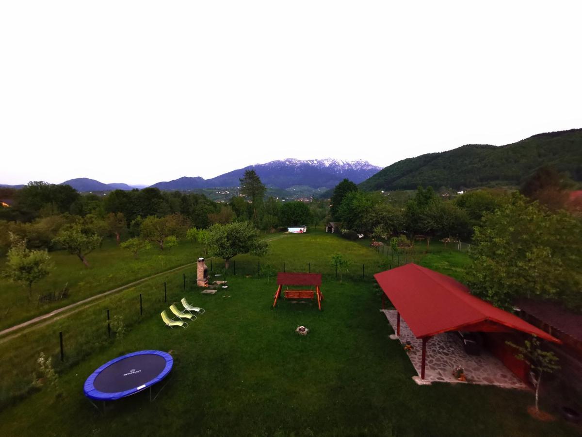 Tamara House Hotel Bran  Esterno foto