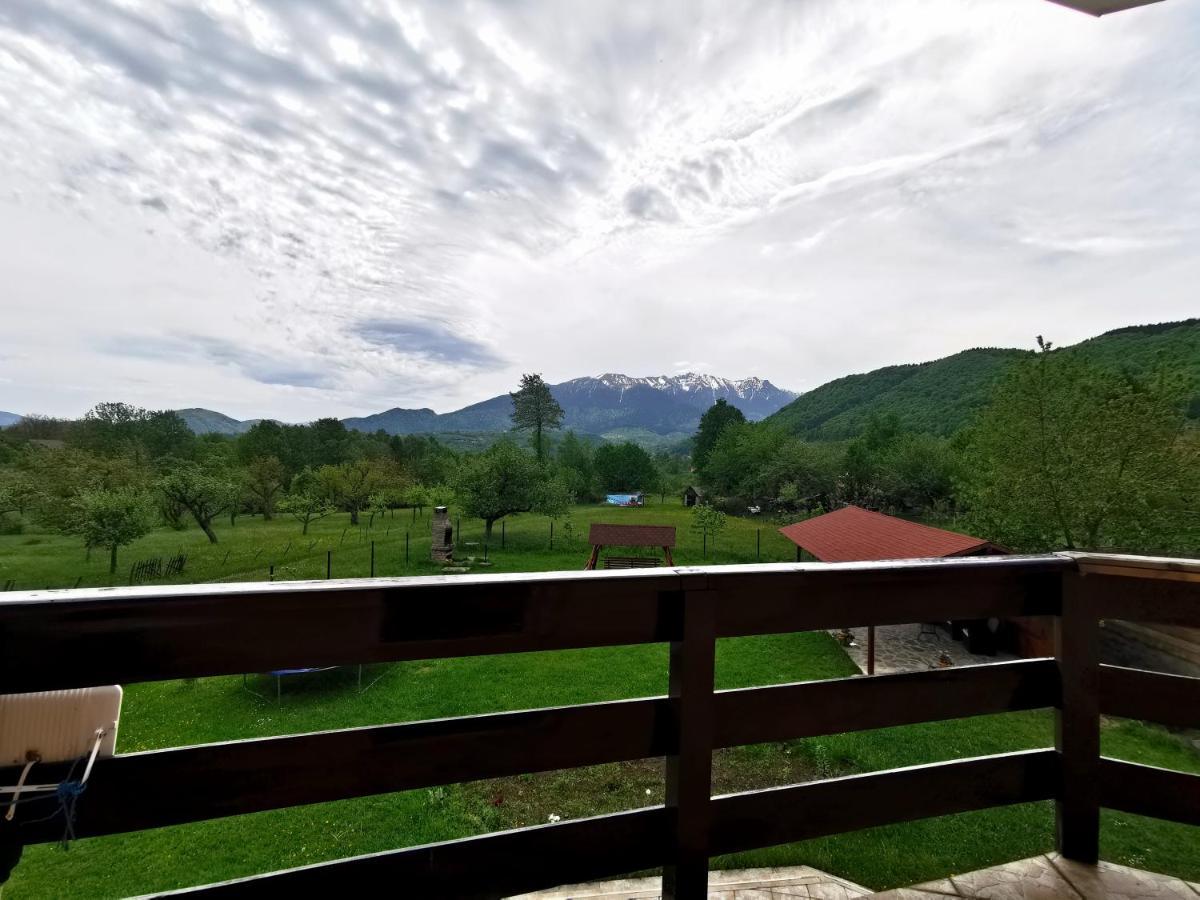 Tamara House Hotel Bran  Esterno foto